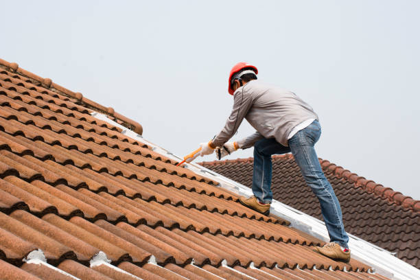 Best Solar Panel Roofing Installation  in Willowick, OH